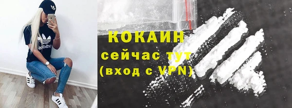 крисы Аркадак
