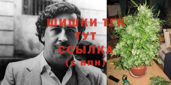 ECSTASY Армянск