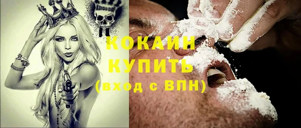 крисы Аркадак
