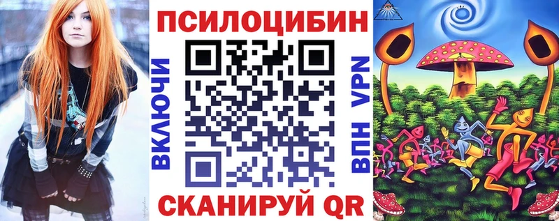 купить наркоту  Сасово  Галлюциногенные грибы Magic Shrooms 